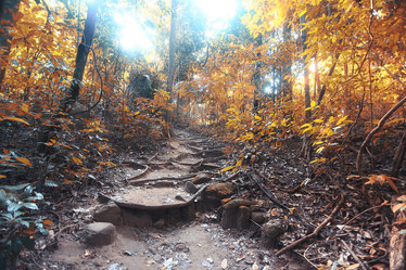 Similar image 10527531