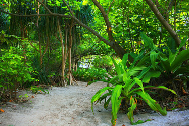 Similar image 10527572