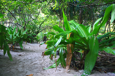 Similar image 10527574