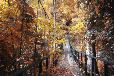 Similar image 10527580