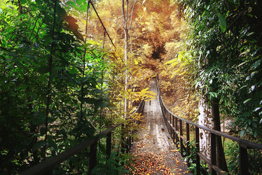 Similar image 10527581