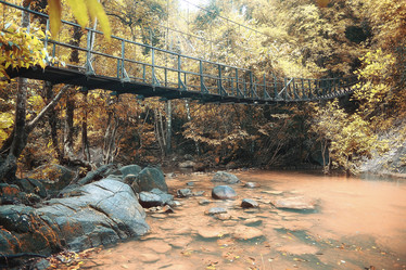 Similar image 10527582