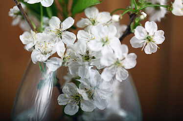 Similar image 10527616