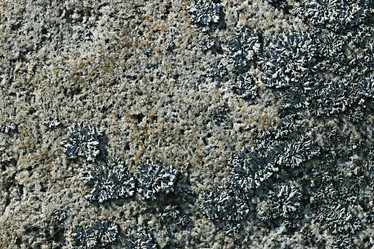 Similar image 10527619