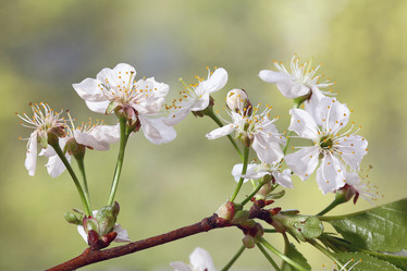 Similar image 10527628