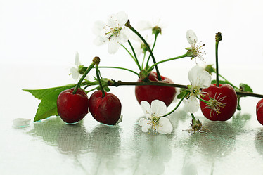 Similar image 10527630