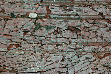 Similar image 10527631