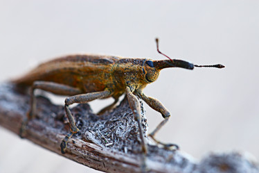 Similar image 10527737