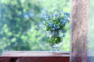 Similar image 10527755