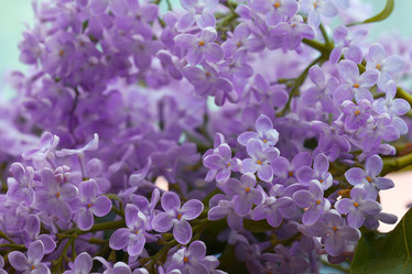 Similar image 10527804