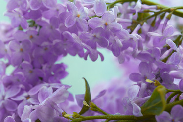 Similar image 10527805