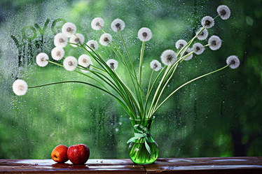 Similar image 10527828