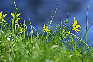 Similar image 10527832