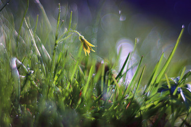 Similar image 10527833