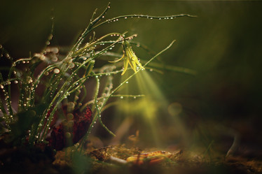 Similar image 10527835