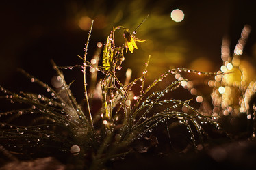 Similar image 10527836