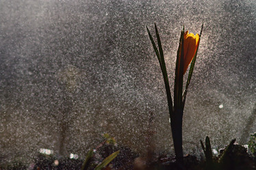 Similar image 10527839