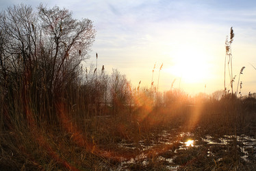 Similar image 10527848