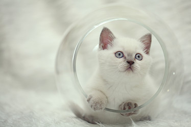 Similar image 10527850