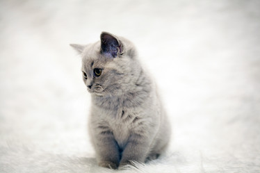 Similar image 10527852