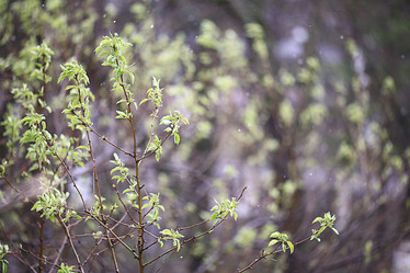 Similar image 10527885