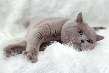 Similar image 10527894