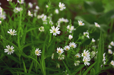 Similar image 10527916