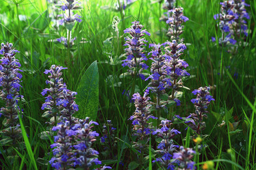 Similar image 10528172