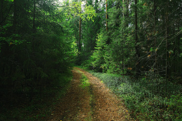 Similar image 10528187