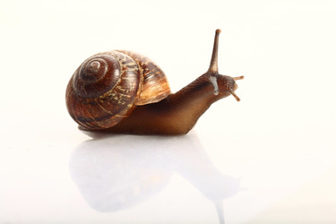 Similar image 10528193