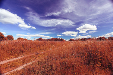 Similar image 10528198