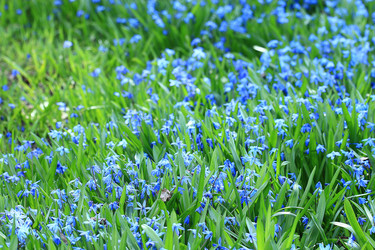 Similar image 10528199