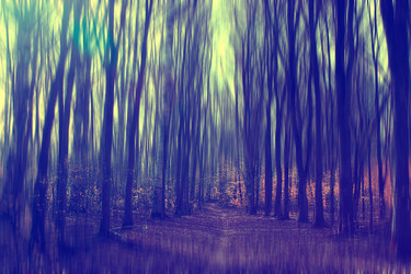 Similar image 10528203