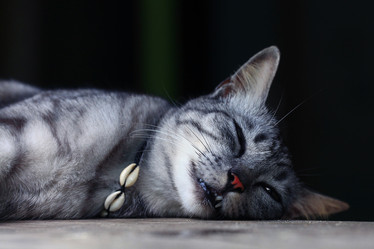 Similar image 10528221