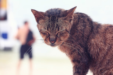 Similar image 10528222