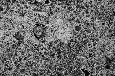 Similar image 10528223