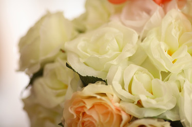 Similar image 10528232