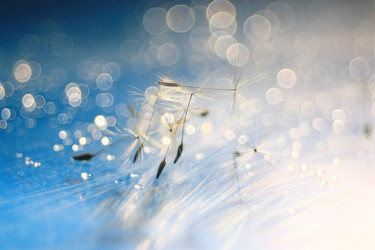 Similar image 10528234