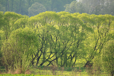 Similar image 10528244