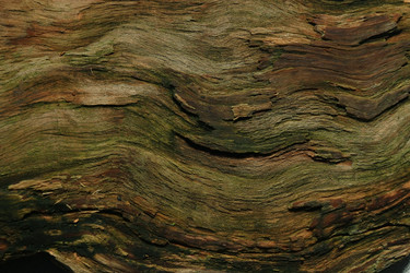 Similar image 10528246