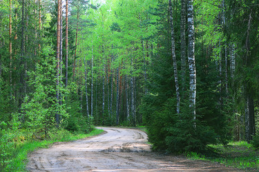 Similar image 10528249