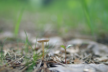 Similar image 10528251