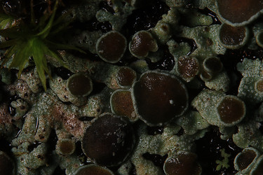 Similar image 10528257