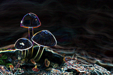 Similar image 10528321