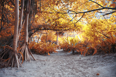 Similar image 10528328