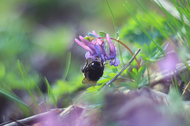 Similar image 10528369