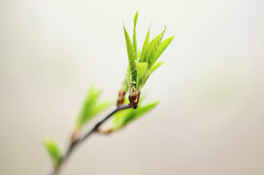 Similar image 10528373