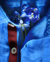 Similar image 10528377