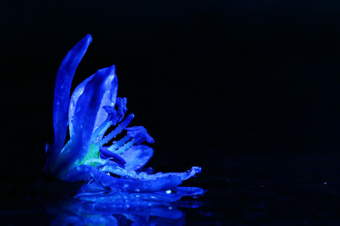 Similar image 10528378