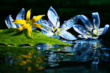 Similar image 10528387